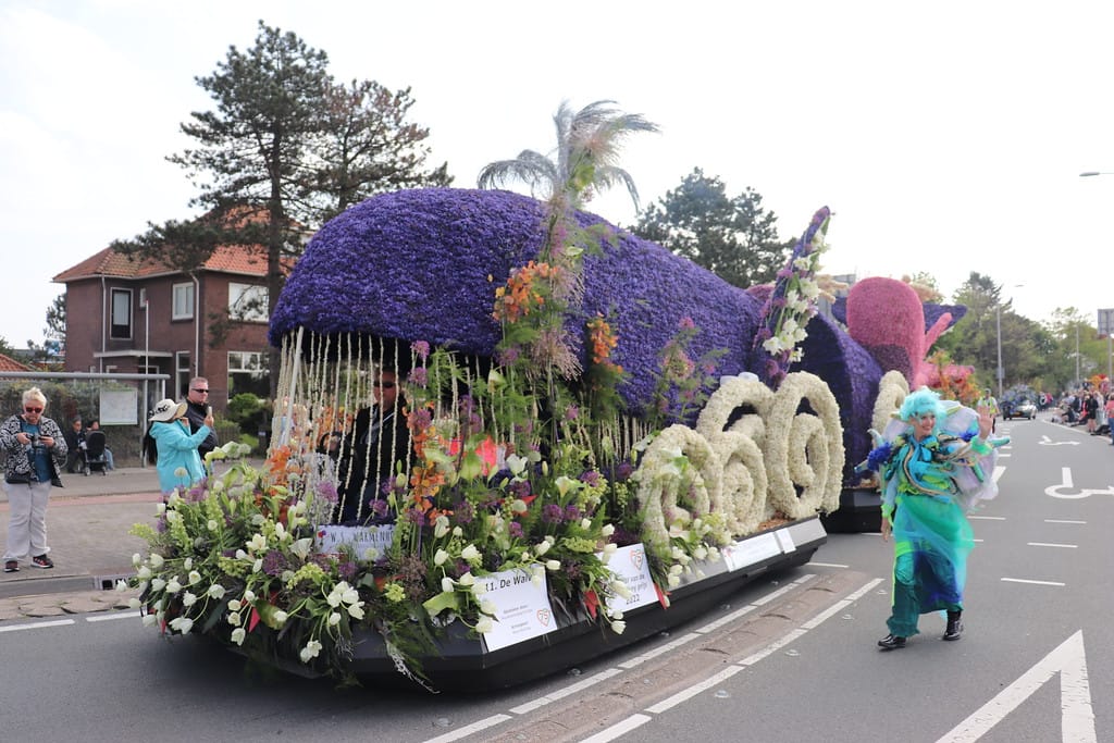 Tribuneplaats Lisse Zuid - Image 5