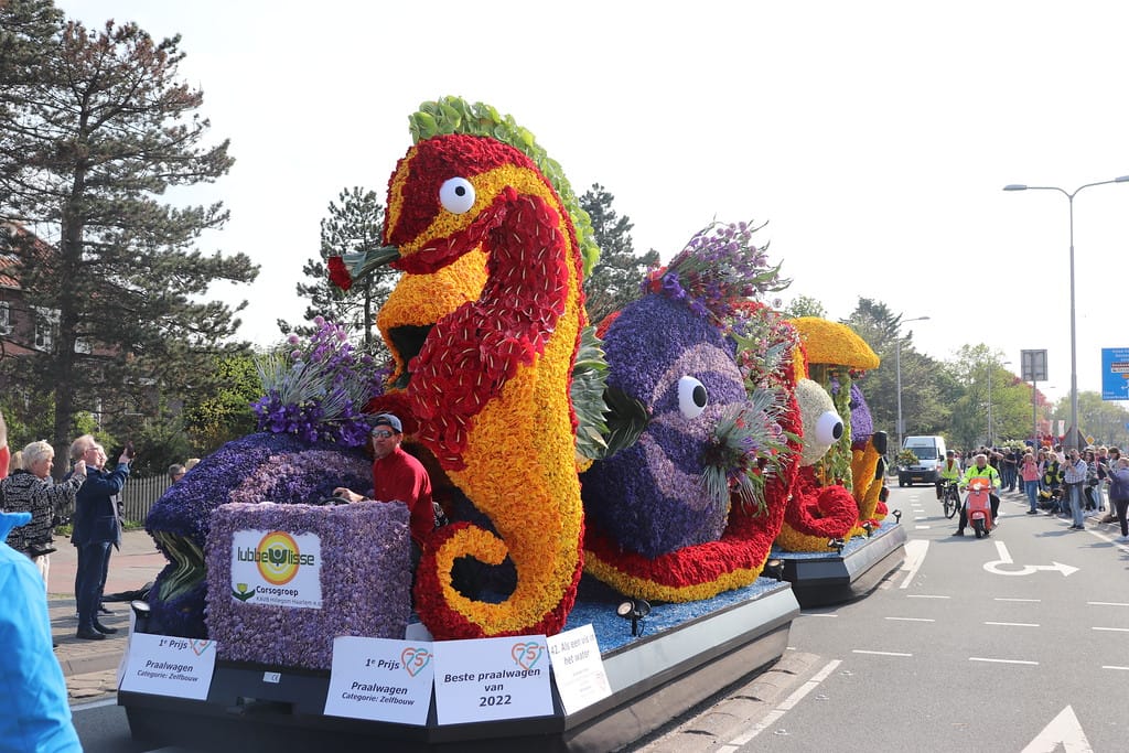 Tribuneplaats Lisse Zuid - Image 6